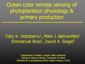 Ocean color remote sensing of phytoplankton physiology primary