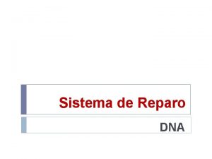 Sistema de Reparo DNA CONCEITO Conjunto de processos