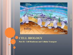 11232020 YustAverett CELL BIOLOGY 1 Part II Cell