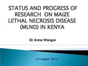 STATUS AND PROGRESS OF RESEARCH ON MAIZE LETHAL