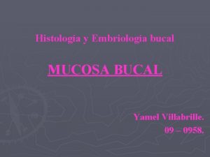 Histologa y Embriologa bucal MUCOSA BUCAL Yamel Villabrille