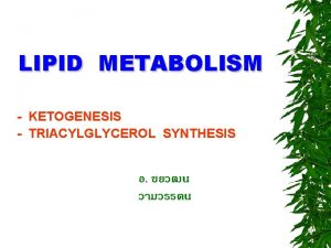 LIPID METABOLISM KETOGENESIS TRIACYLGLYCEROL SYNTHESIS KETOGENESIS acetoacetate hydroxybutyrate