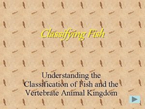 Classifying fish