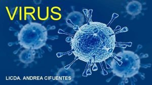 Ciclo litico de un virus