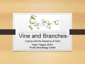 Vine and Branches Coping with the Seasons of