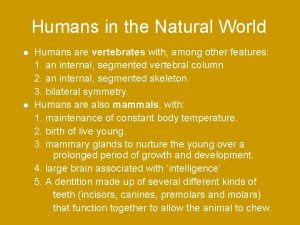 Humans in the Natural World Humans are vertebrates