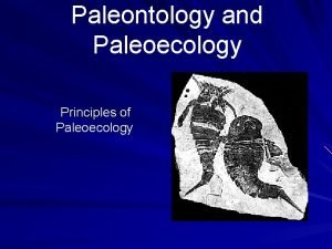 Paleontology and Paleoecology Principles of Paleoecology Fossils Remains