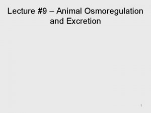 Lecture 9 Animal Osmoregulation and Excretion 1 Key