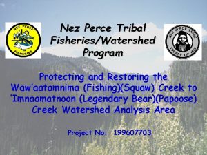 Nez Perce Tribal FisheriesWatershed Program Protecting and Restoring