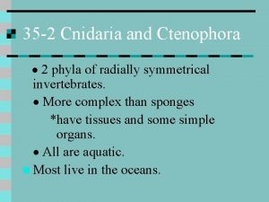 35 2 Cnidaria and Ctenophora 2 phyla of