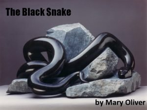 The black snake by mary oliver