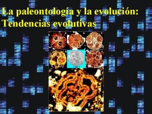 La paleontologa y la evolucin Tendencias evolutivas La