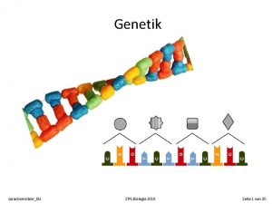 Genetik sprachsensiblerBU ZPG Biologie 2018 Seite 1 von