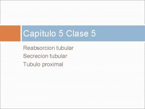 Captulo 5 Clase 5 Reabsorcion tubular Secrecion tubular