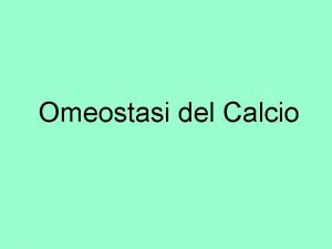 Omeostasi calcio