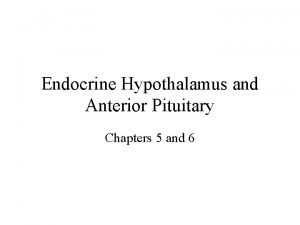 Endocrine Hypothalamus and Anterior Pituitary Chapters 5 and