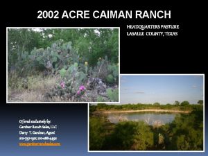 2002 ACRE CAIMAN RANCH HEADQUARTERS PASTURE LASALLE COUNTY