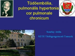 Tdemblia pulmonlis hypertonia cor pulmonale chronicum Somfay Attila