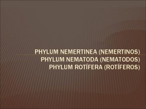 PHYLUM NEMERTINEA NEMERTINOS PHYLUM NEMATODA NEMATODOS PHYLUM ROTFERA