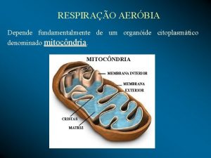 RESPIRAO AERBIA Depende fundamentalmente de um organide citoplasmtico