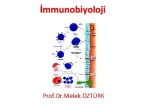 mmunobiyoloji Prof Dr Melek ZTRK Baklk sistemi canllar