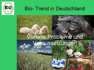 Bio Trend in Deutschland Vorteile Probleme und Voraussetzungen