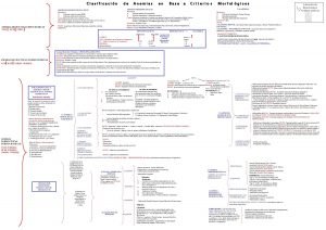 Clasificacin Anemias Criterio s FROTIS Anisocitosis Microcitosis Hipocroma