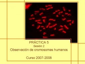 PRCTICA 5 Sesin 2 Observacin de cromosomas humanos