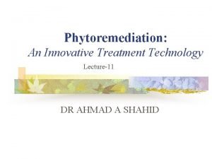Types of phytoremediation