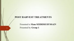 Sehrish hussain