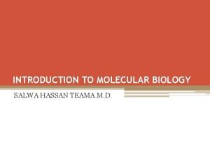 INTRODUCTION TO MOLECULAR BIOLOGY SALWA HASSAN TEAMA M