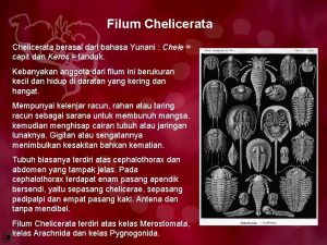 Chelicherata berasal dari bahasa yunani chele yang berarti