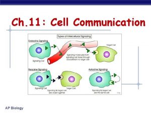 Ch 11 Cell Communication AP Biology Communication Methods