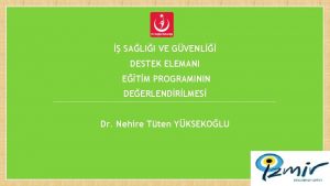 SALII VE GVENL DESTEK ELEMANI ETM PROGRAMININ DEERLENDRLMES