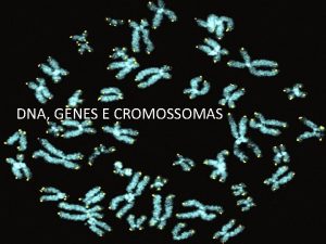 DNA GENES E CROMOSSOMAS cidos nucleicos Constitudos por