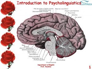 Introduction to Psycholinguistics Department of English Prof Roseline