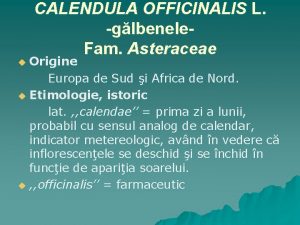 CALENDULA OFFICINALIS L glbenele Fam Asteraceae Origine Europa