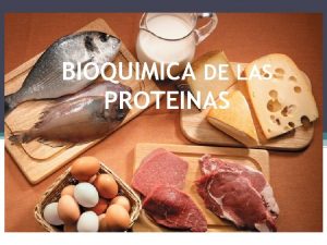 BIOQUIMICA DE LAS PROTEINAS CONCEPTOS INICIALES Bioqumica Concepto