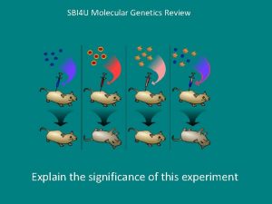 SBI 4 U Molecular Genetics Review Explain the