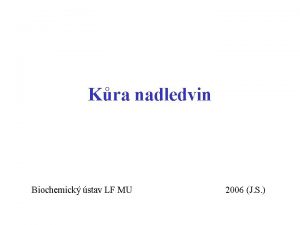 Kra nadledvin Biochemick stav LF MU 2006 J