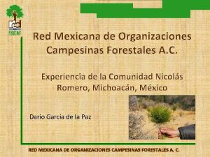 Red Mexicana de Organizaciones Campesinas Forestales A C