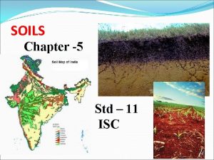 Feature of alluvial soil