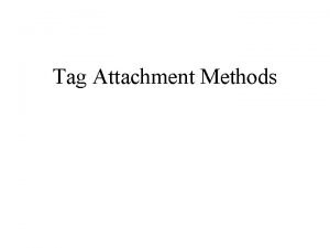 Tag Attachment Methods Gluing tags to birds Holberton