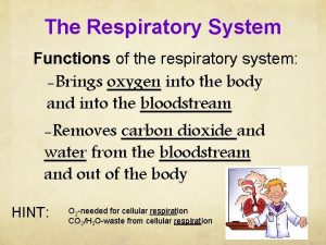 The Respiratory System Functions of the respiratory system