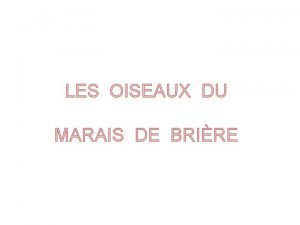 LES OISEAUX DU MARAIS DE BRIRE Questce quun