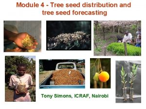 Module 4 Tree seed distribution and tree seed