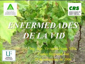 ENFERMEDADES DE LA VID Ing Agr Vivienne Gepp