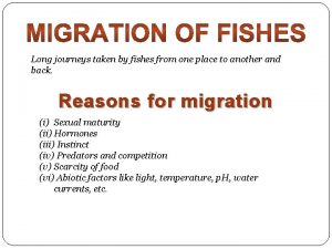 Oceanodromous migration