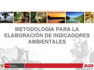 METODOLOGA PARA LA ELABORACIN DE INDICADORES AMBIENTALES INTRODUCCIN