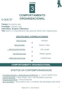 Unidade 3 O QUE COMPORTAMENTO ORGANIZACIONAL Campo de